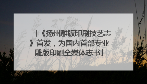 《扬州雕版印刷技艺志》首发，为国内首部专业雕版印刷全媒体志书