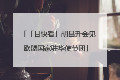 「甘快看」胡昌升会见欧盟国家驻华使节团
