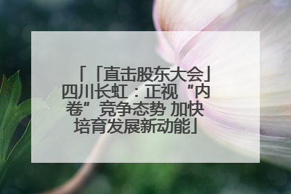 「直击股东大会」四川长虹：正视“内卷”竞争态势 加快培育发展新动能