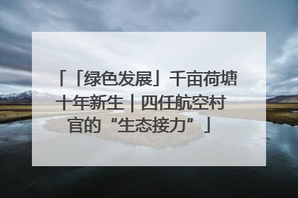 「绿色发展」千亩荷塘 十年新生｜四任航空村官的“生态接力”