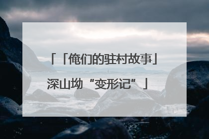 「俺们的驻村故事」深山坳“变形记”