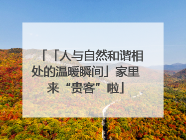 「人与自然和谐相处的温暖瞬间」家里来“贵客”啦
