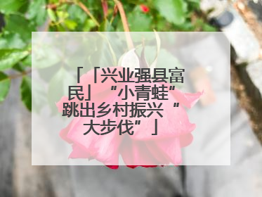 「兴业强县富民」“小青蛙”跳出乡村振兴“大步伐”
