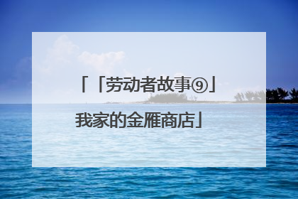 「劳动者故事⑨」我家的金雁商店