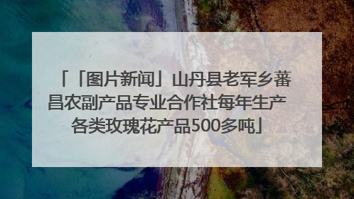 「图片新闻」山丹县老军乡蕃昌农副产品专业合作社每年生产各类玫瑰花产品500多吨