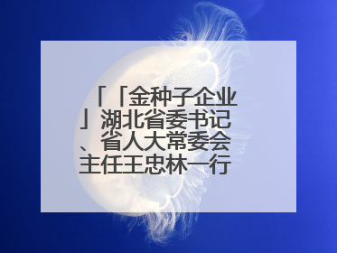 「金种子企业」湖北省委书记、省人大常委会主任王忠林一行到依瑞德调研
