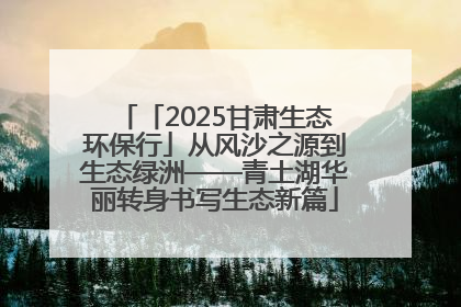 「2025甘肃生态环保行」从风沙之源到生态绿洲——青土湖华丽转身书写生态新篇