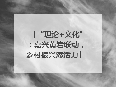 “理论+文化”：嘉兴黄岩联动，乡村振兴添活力
