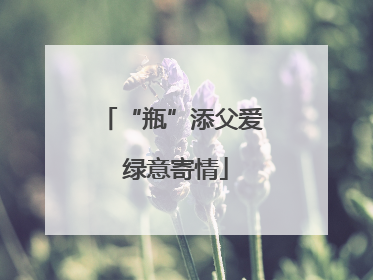“瓶”添父爱 绿意寄情