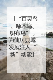 “百灵鸟、啄木鸟、织布鸟”，为仙居县域发展注入“新”动能