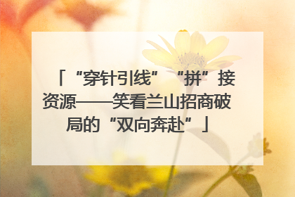 “穿针引线”“拼”接资源——笑看兰山招商破局的“双向奔赴”