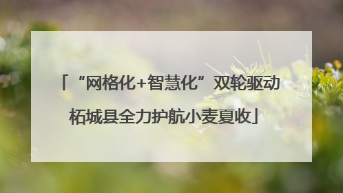 “网格化+智慧化”双轮驱动 柘城县全力护航小麦夏收