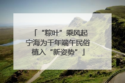 “粽叶”乘风起 宁海为千年端午民俗植入“新姿势”