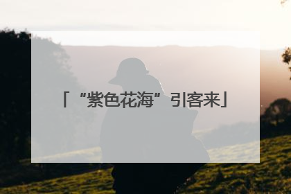 “紫色花海”引客来