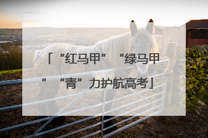 “红马甲”“绿马甲”“青”力护航高考