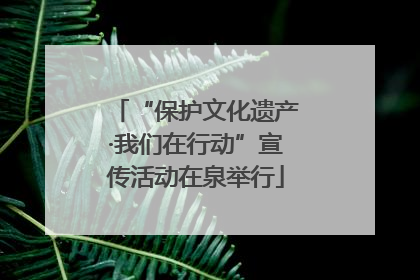 “保护文化遗产·我们在行动”宣传活动在泉举行