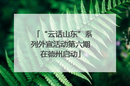 “云话山东”系列外宣活动第六期在德州启动