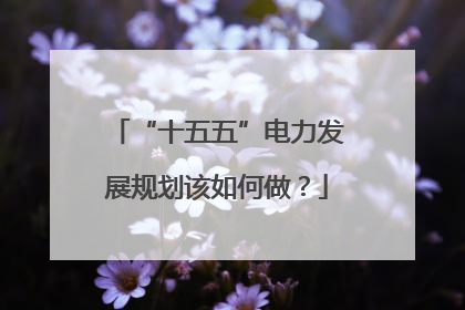 “十五五”电力发展规划该如何做？