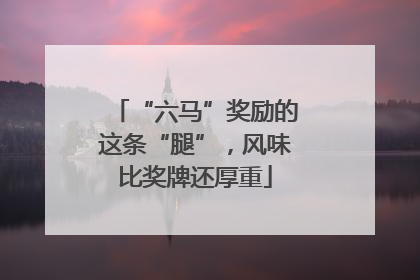 “六马”奖励的这条“腿”，风味比奖牌还厚重
