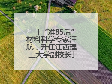 “准85后”材料科学专家汪航，升任江西理工大学副校长