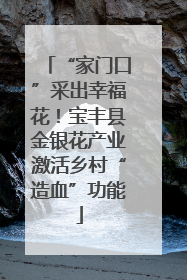 “家门口”采出幸福花！宝丰县金银花产业激活乡村“造血”功能