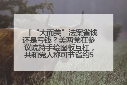 “大而美”法案省钱还是亏钱？美两党在参议院持手绘图板互杠，共和党人称可节省约5000亿美元，民主党人称将增加4.45万亿美元赤字