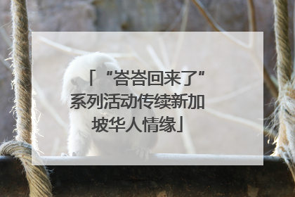 “峇峇回来了”系列活动传续新加坡华人情缘