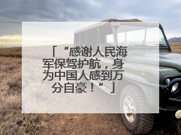 “感谢人民海军保驾护航，身为中国人感到万分自豪！”