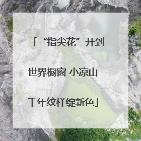 “指尖花”开到世界橱窗 小凉山千年纹样绽新色
