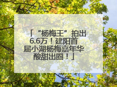 “杨梅王”拍出6.6万！建阳首届小湖杨梅嘉年华酸甜出圈！