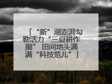 “新”潮澎湃勾勒活力“三夏耕作图” 田间地头满满“科技范儿”