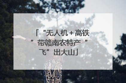 “无人机＋高铁”带赣南农特产“飞”出大山