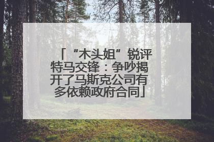 “木头姐”锐评特马交锋：争吵揭开了马斯克公司有多依赖政府合同