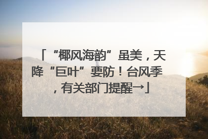 “椰风海韵”虽美，天降“巨叶”要防！台风季，有关部门提醒→