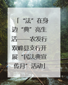 “法”在身边“典”亮生活——农发行双峰县支行开展“民法典宣传月”活动