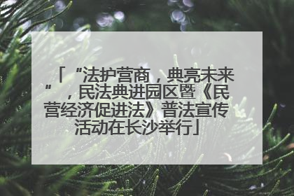 “法护营商，典亮未来”，民法典进园区暨《民营经济促进法》普法宣传活动在长沙举行