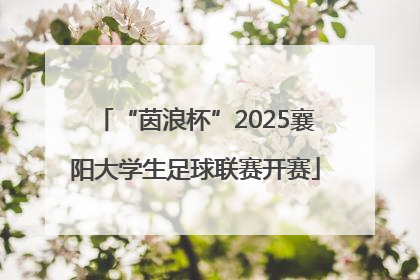 “茵浪杯”2025襄阳大学生足球联赛开赛