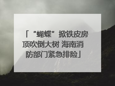 “蝴蝶”掀铁皮房顶吹倒大树 海南消防部门紧急排险