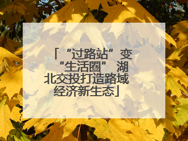 “过路站”变“生活圈” 湖北交投打造路域经济新生态