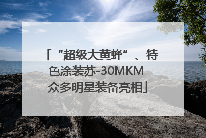 “超级大黄蜂”、特色涂装苏-30MKM 众多明星装备亮相