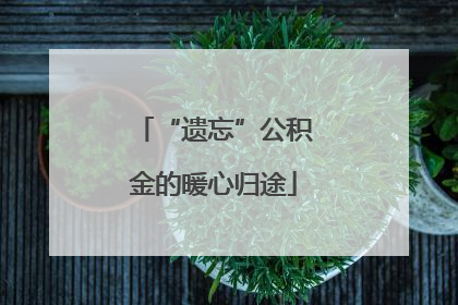 “遗忘”公积金的暖心归途