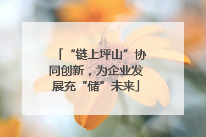 “链上坪山”协同创新，为企业发展充“储”未来