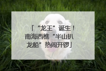 “龙王”诞生！南海西樵“半山扒龙船”热闹开锣