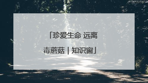 珍爱生命 远离毒蘑菇｜知识窗