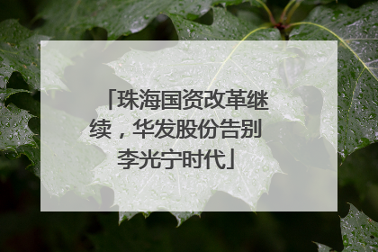 珠海国资改革继续，华发股份告别李光宁时代