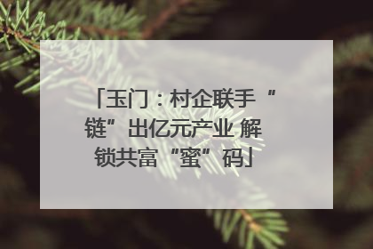 玉门：村企联手“链”出亿元产业 解锁共富“蜜”码