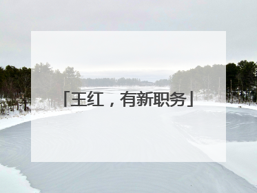 王红，有新职务
