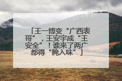 王一博变“广西表哥”，王安宇成“王安全”！谁来了两广都得“腌入味”