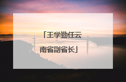 王学勤任云南省副省长
