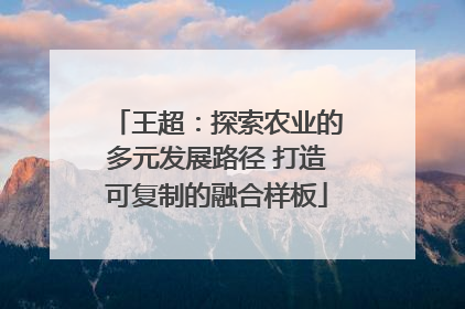 王超：探索农业的多元发展路径 打造可复制的融合样板